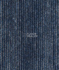 Ковровая плитка Shared Path на акустической основе Echo Acoustic 569 фото 1 | FLOORDEALER